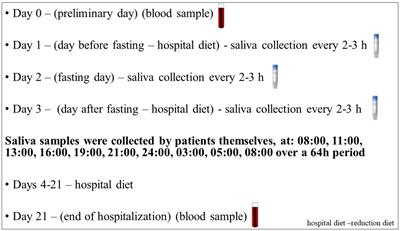 Effect of the one-day fasting on cortisol and DHEA daily rhythm regarding sex, chronotype, and age among obese adults